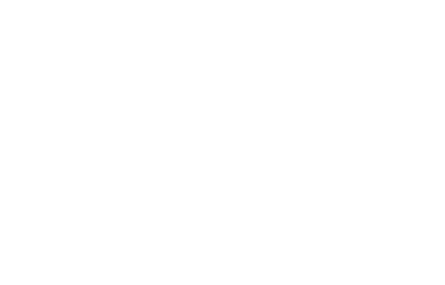 ACE.i Integration